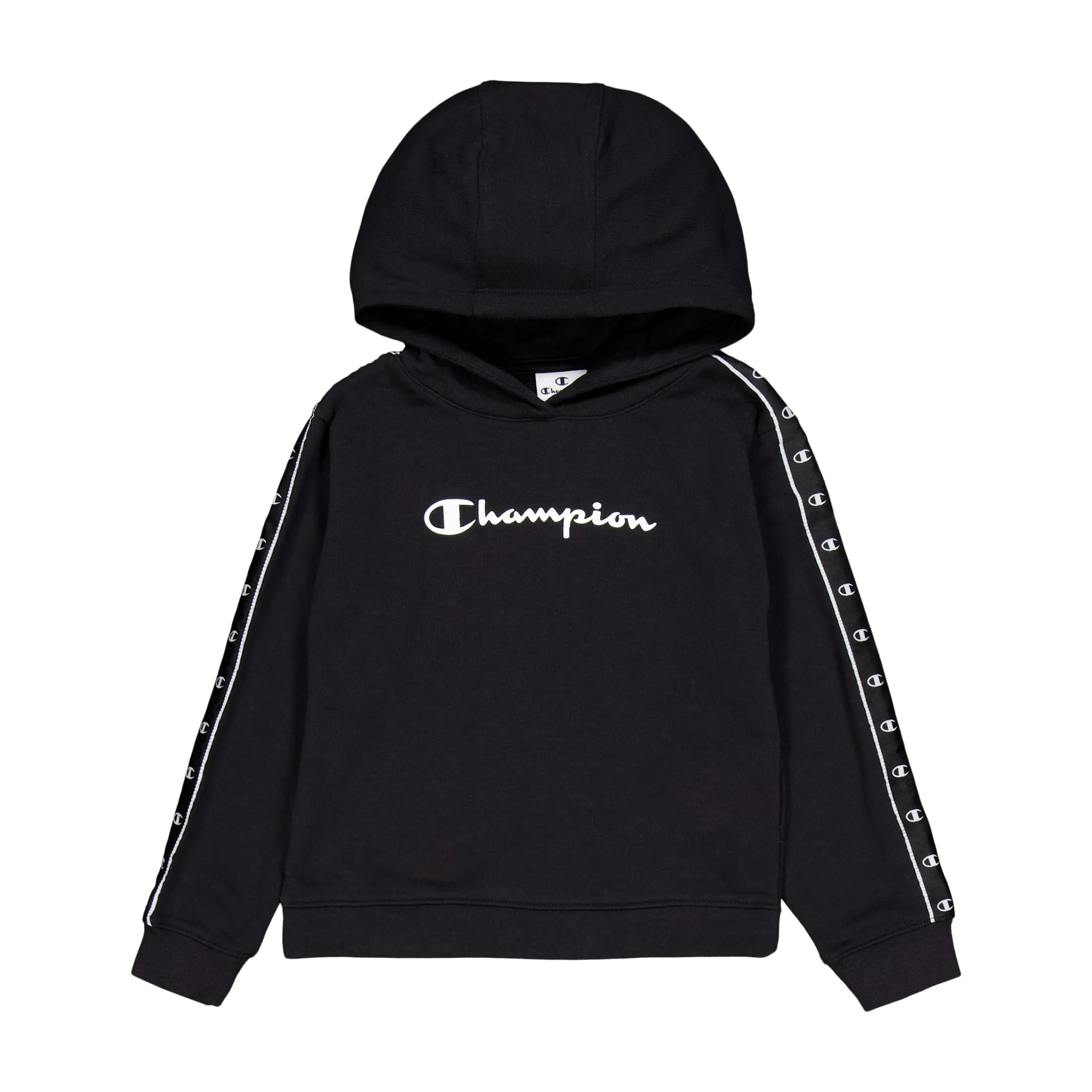 Champion Hooded Sweatshirt Black Beauty