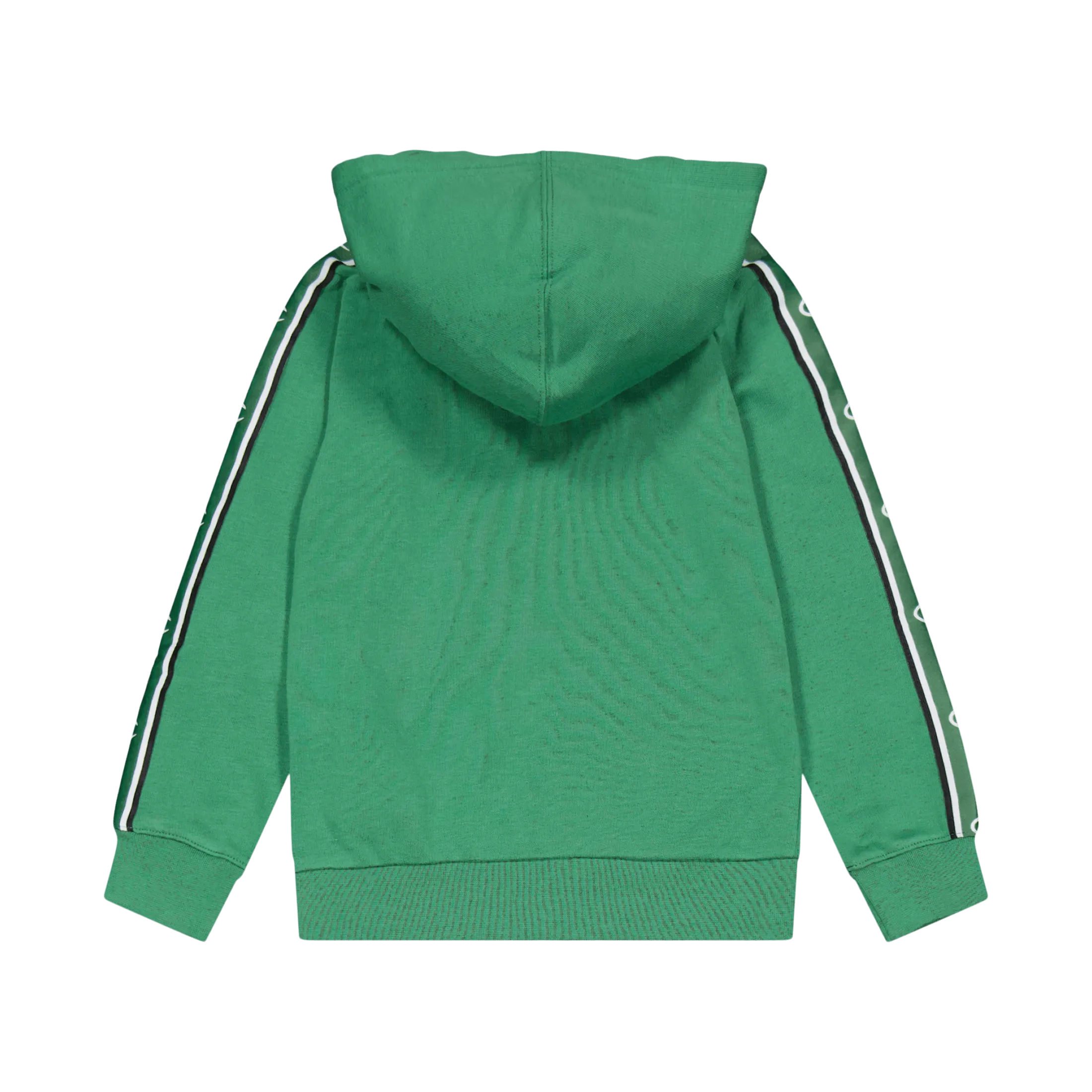 Champion Hooded Sweatshirt Foliage Green