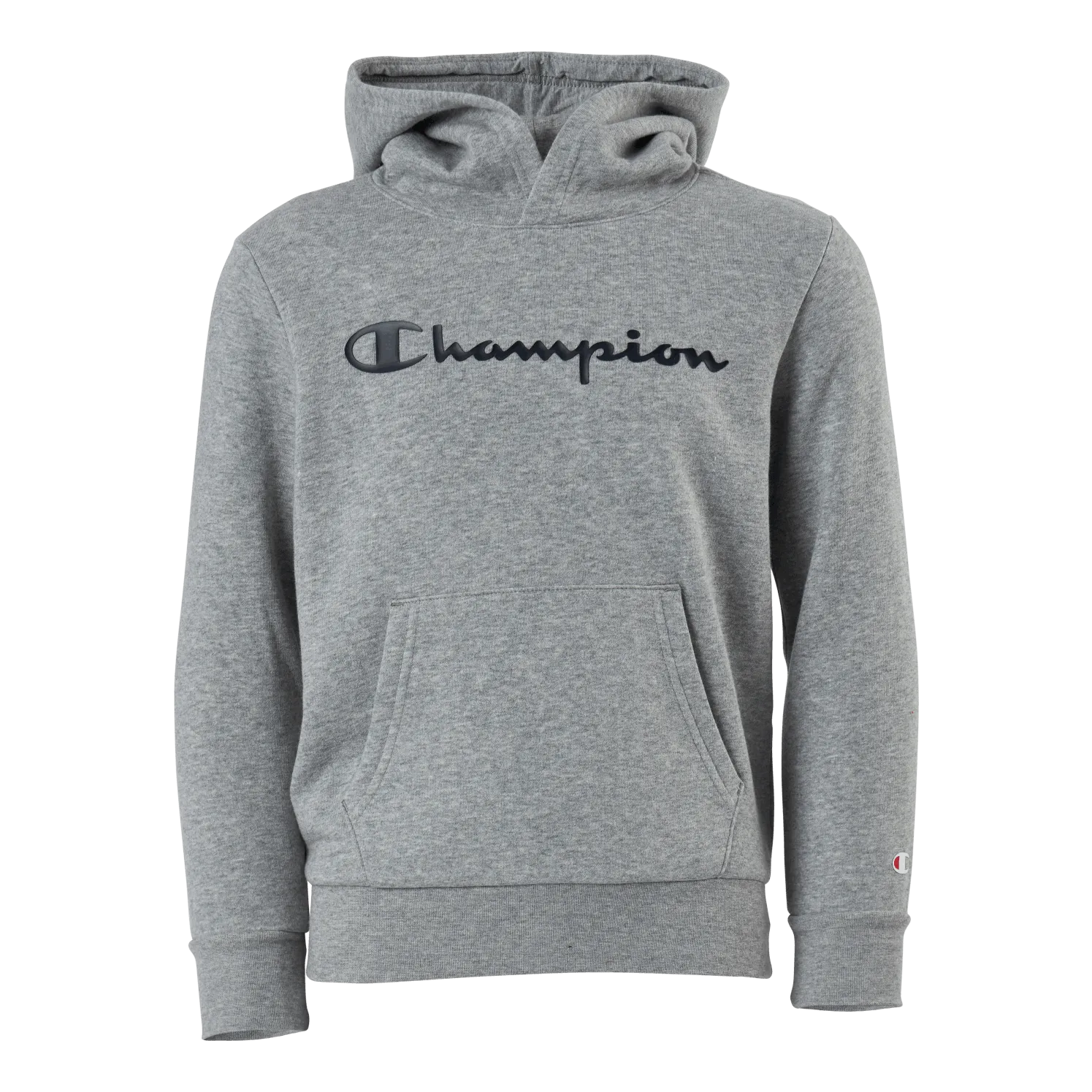 Champion Hooded Sweatshirt Gray Melange Light