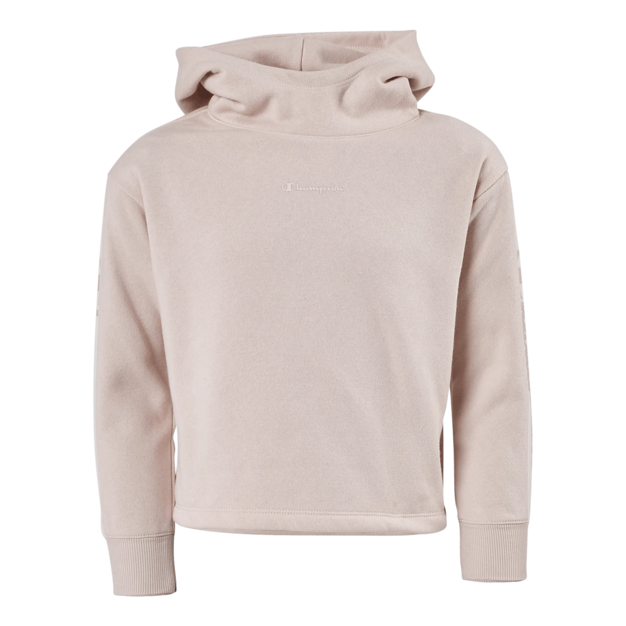 Champion Hooded Sweatshirt Ps075