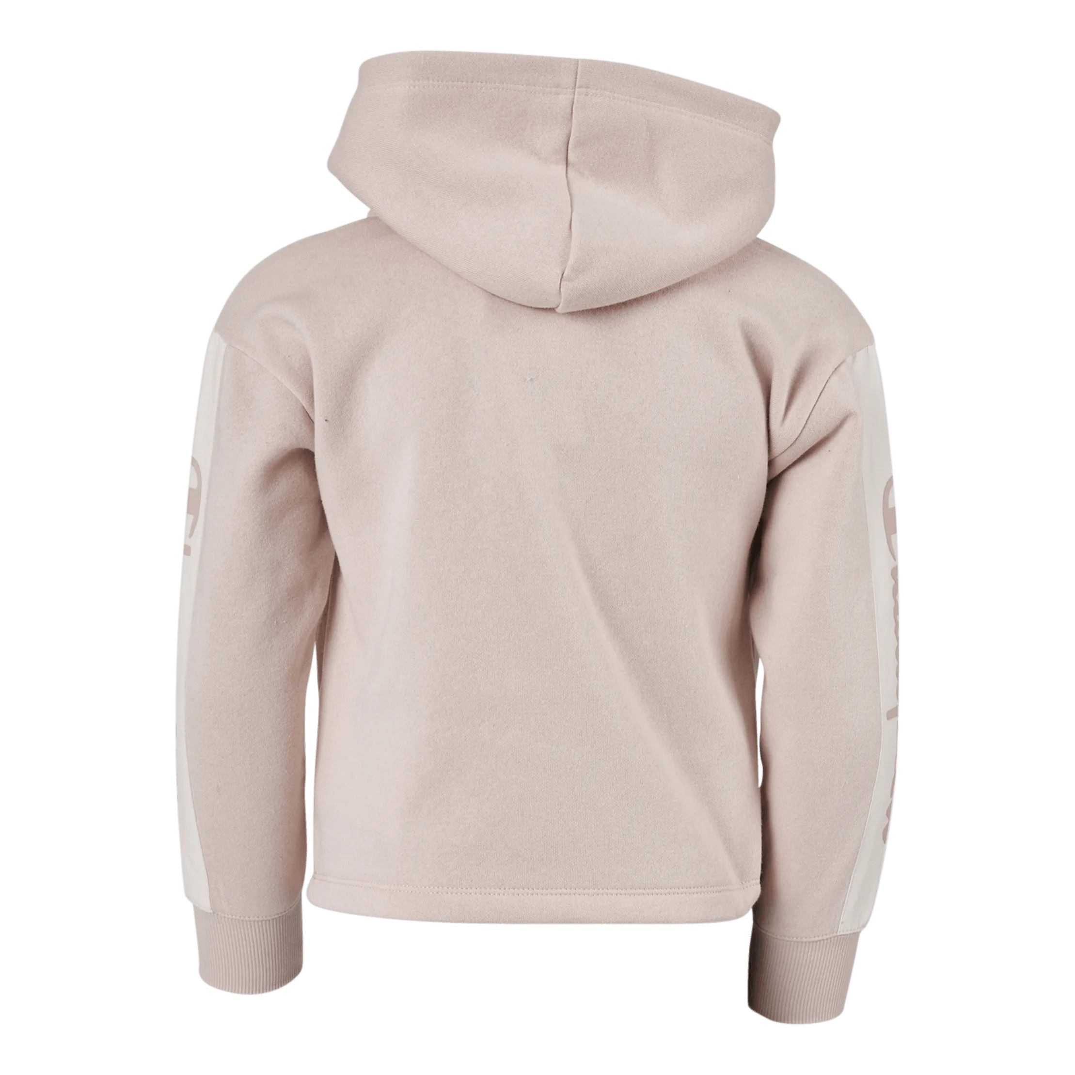 Champion Hooded Sweatshirt Ps075