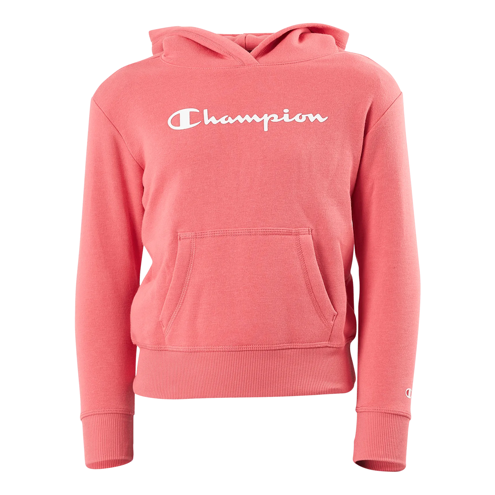 Champion Hooded Sweatshirt Ps171