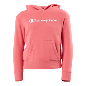 Champion Hooded Sweatshirt Ps171