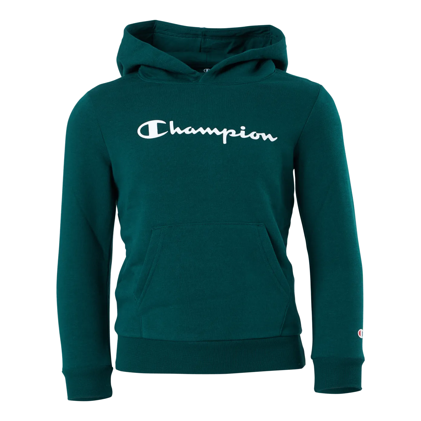 Champion Hooded Sweatshirt Rain Forest