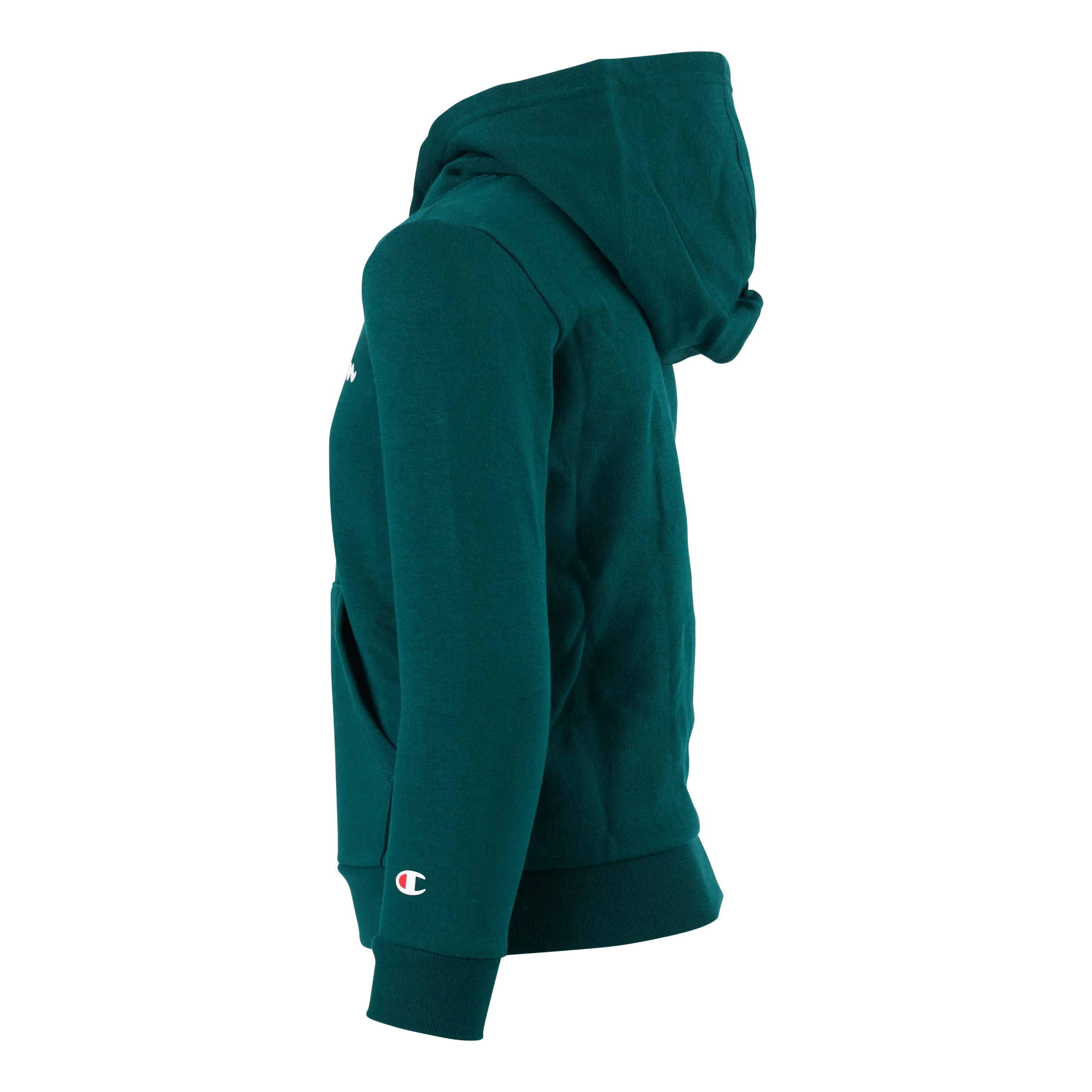 Champion Hooded Sweatshirt Rain Forest