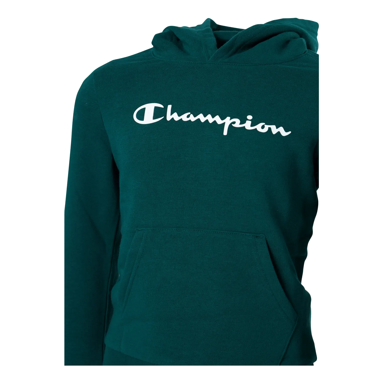 Champion Hooded Sweatshirt Rain Forest