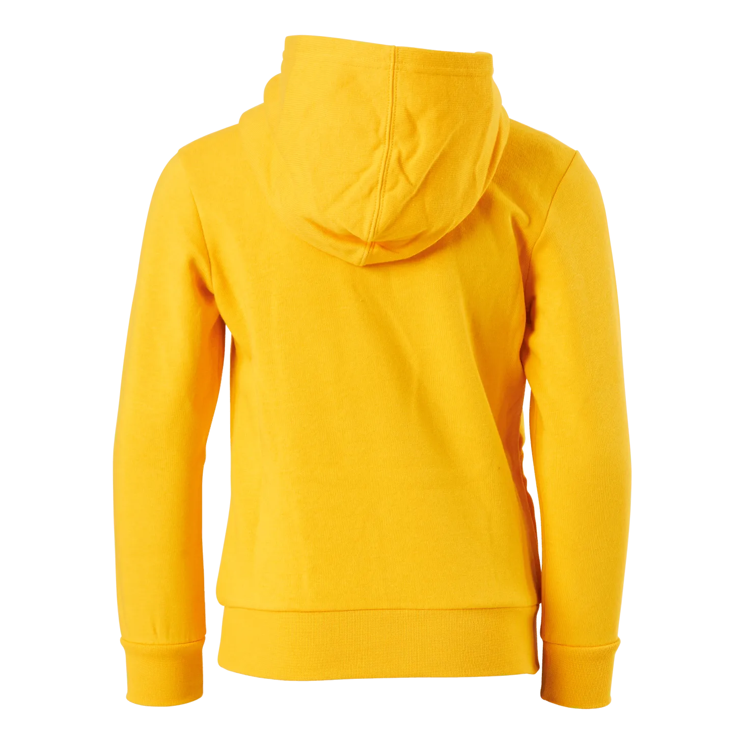 Champion Hooded Sweatshirt Saffron