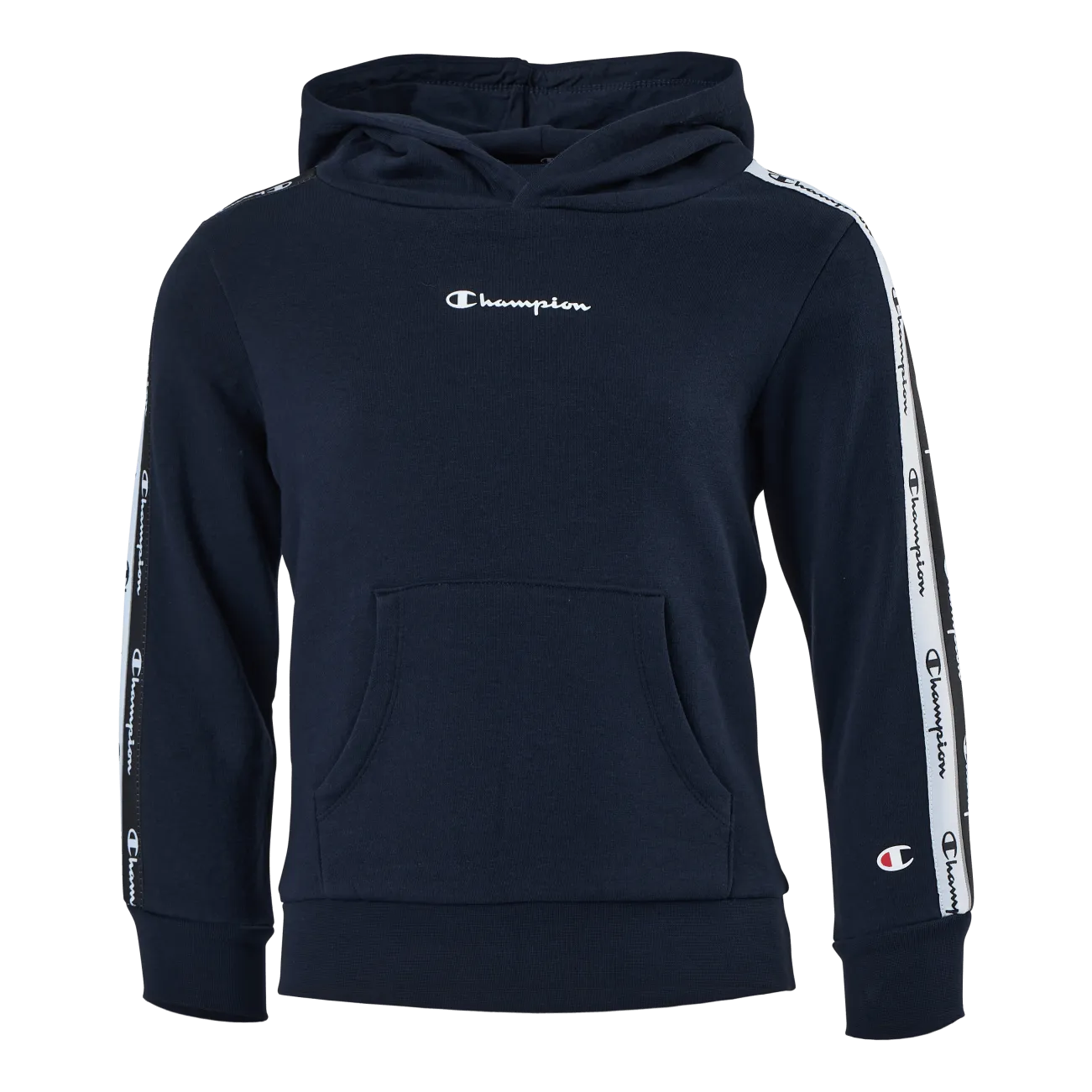 Champion Hooded Sweatshirt Sky Captain