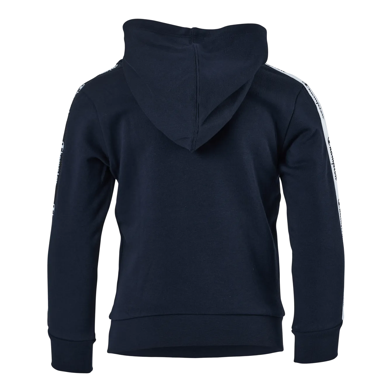 Champion Hooded Sweatshirt Sky Captain