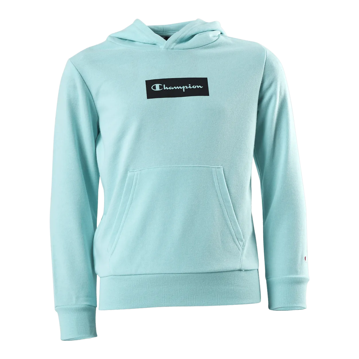 Champion Pastel Hooded Sweatshirt Junior Turquoise