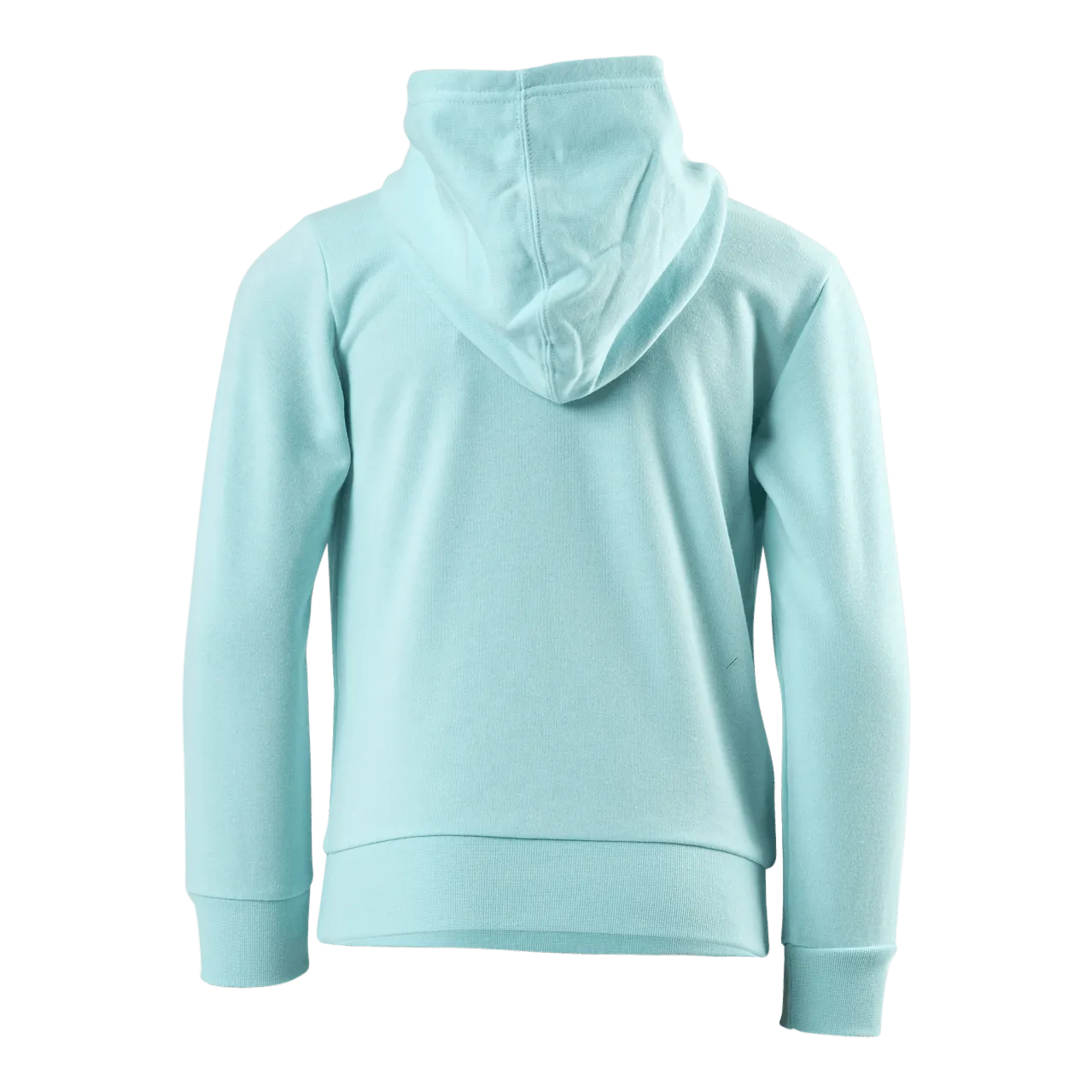 Champion Pastel Hooded Sweatshirt Junior Turquoise