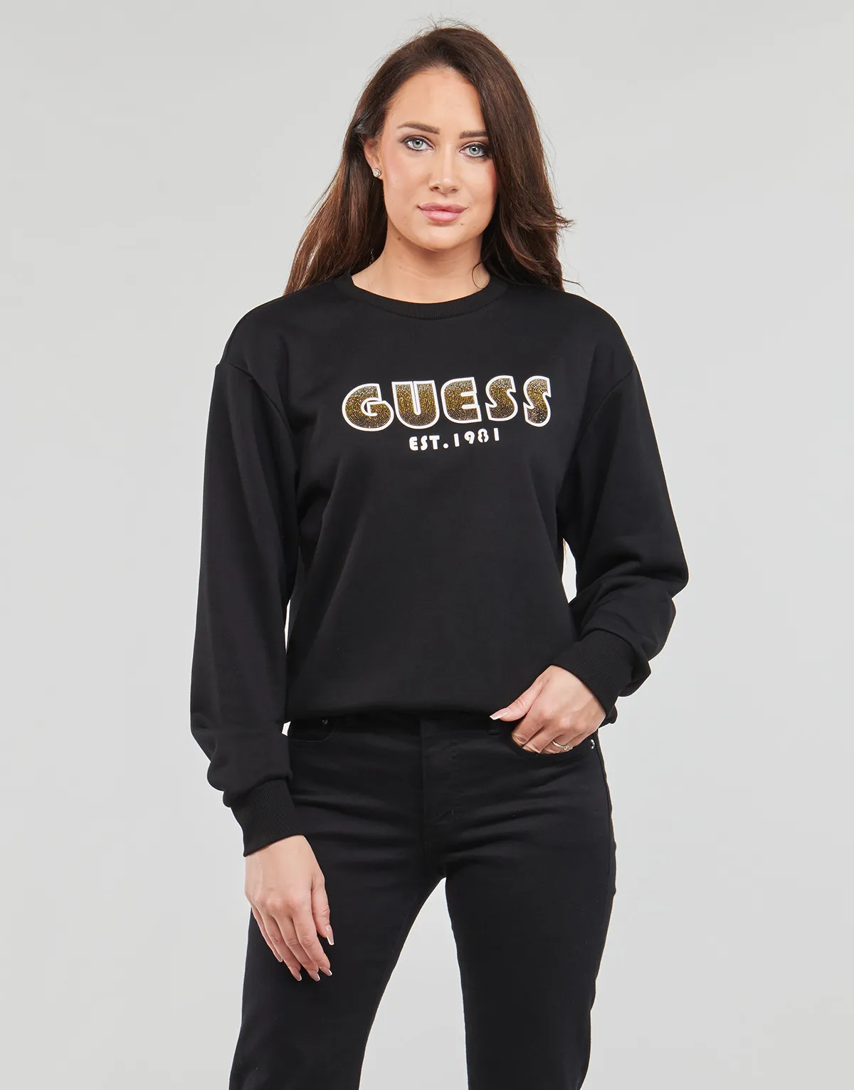 CN SHADED LOGO SWEATSHIRT