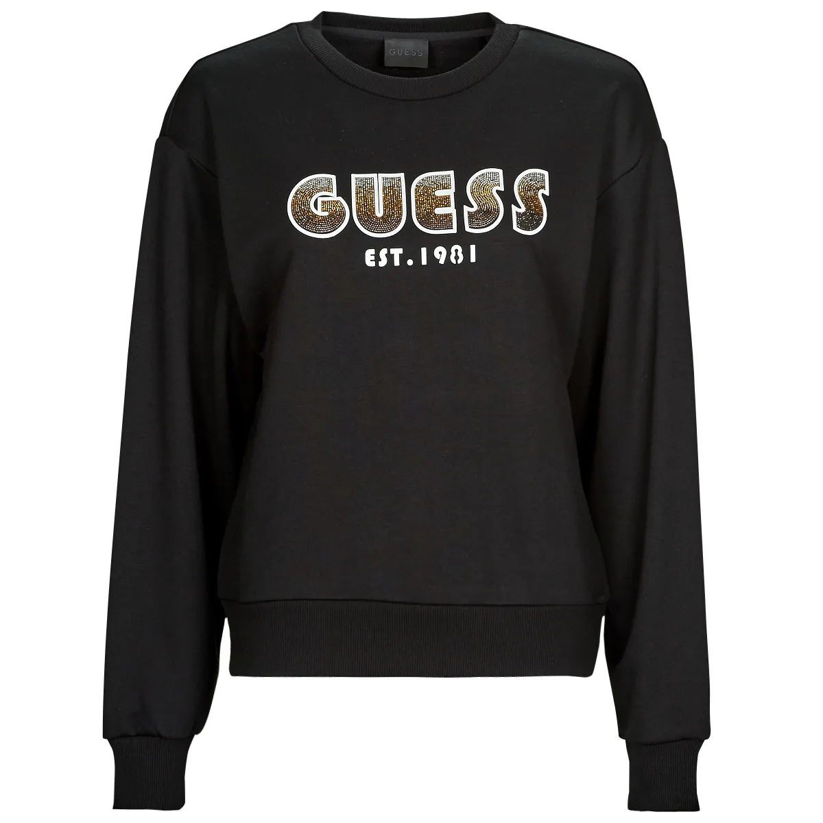 CN SHADED LOGO SWEATSHIRT