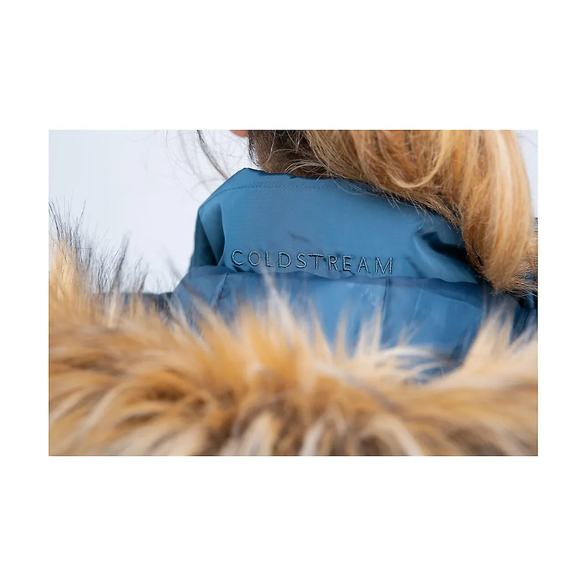 Coldstream Womens/Ladies Cornhill Padded Jacket