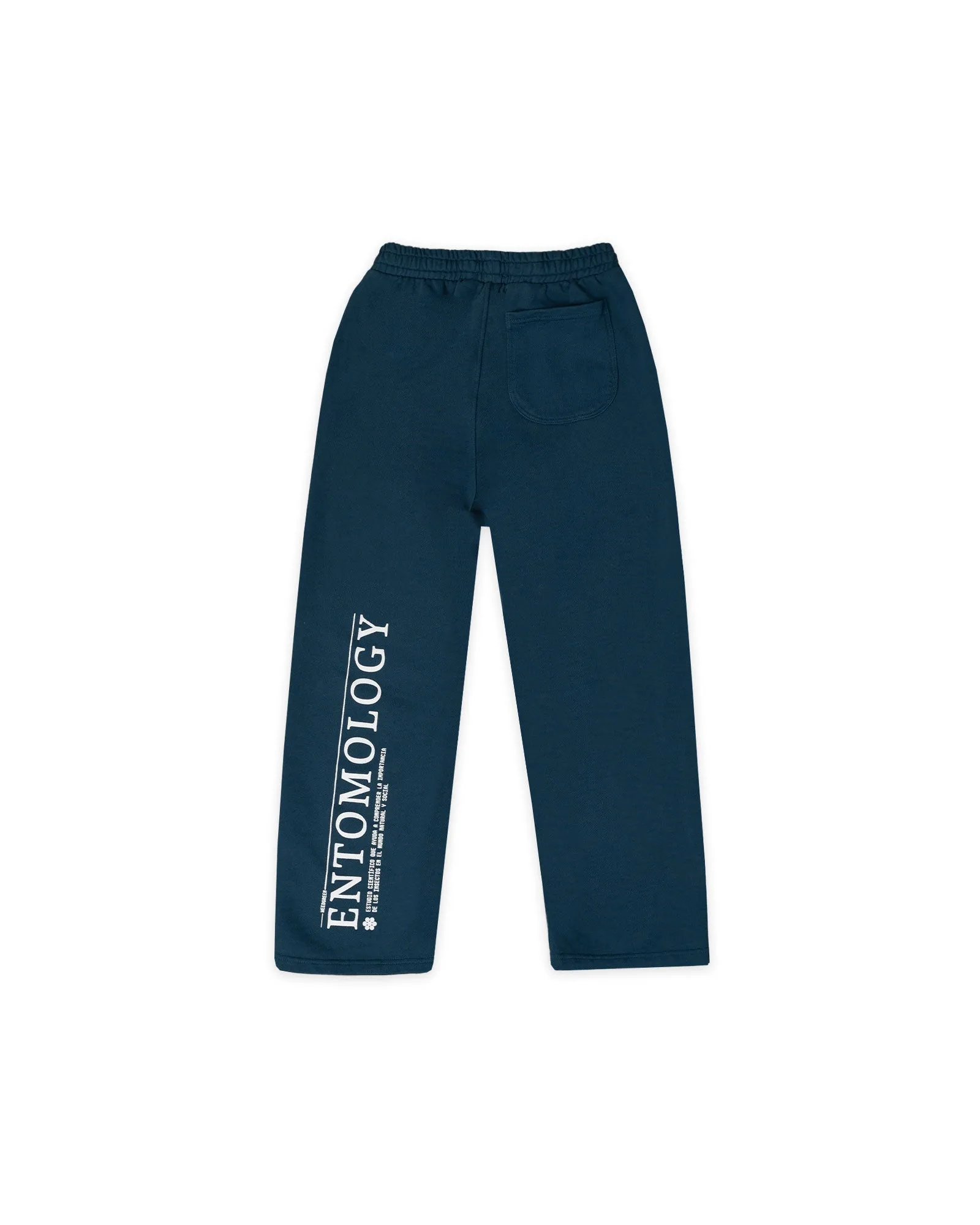 JOGGER RECTO  ENTOMOLOGY AZUL