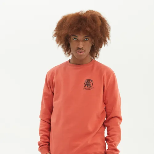 Sudadera Hydroponic hombre sin capucha COMIC CW ref-23051-02 terracota-rojo