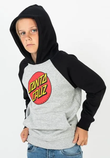 Sudadera niño SANTA CRUZ con capucha para Chicos Ref. Youth DOT REFLECTION HOOD -BLACK HEATHER GREY