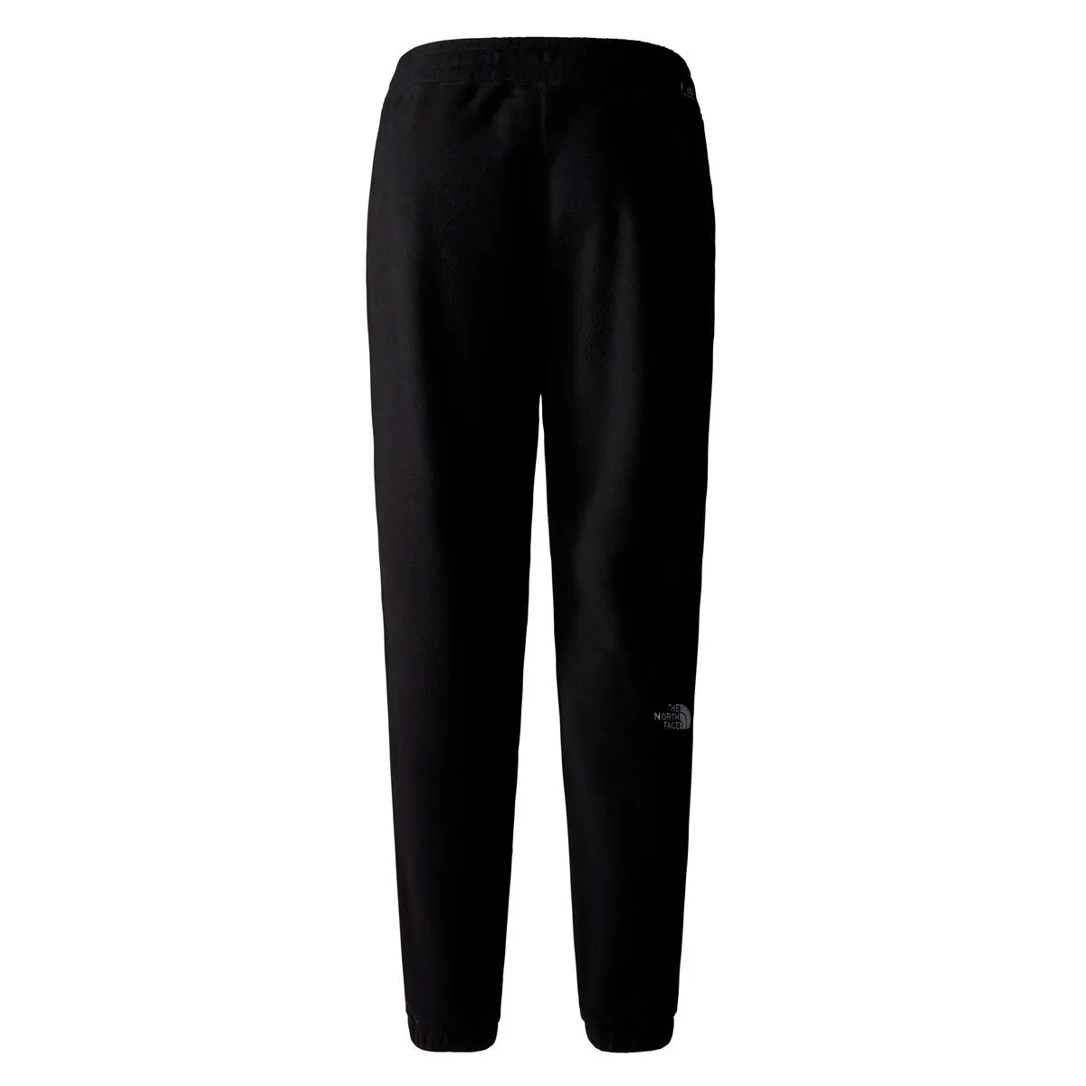 the north face W 100 Glacier Jogger Tnf Black